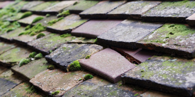 Heybridge Basin roof repair costs